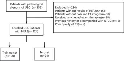 Contrast-enhanced computed tomography-based radiomics nomogram for predicting HER2 status in urothelial bladder carcinoma